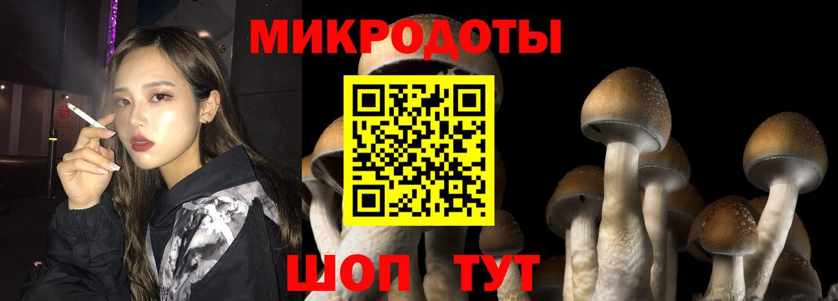 Псилоцибиновые грибы Psilocybe  Вход с VPN  Ртищево 